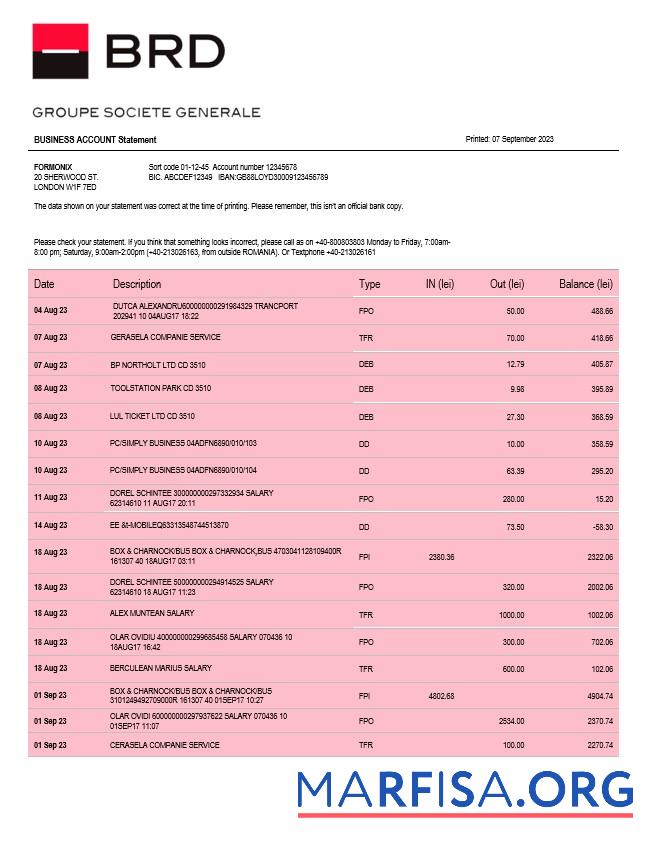 Professionell BRD Bank organization Konto Kontoauszug Word and PDF Vorlage