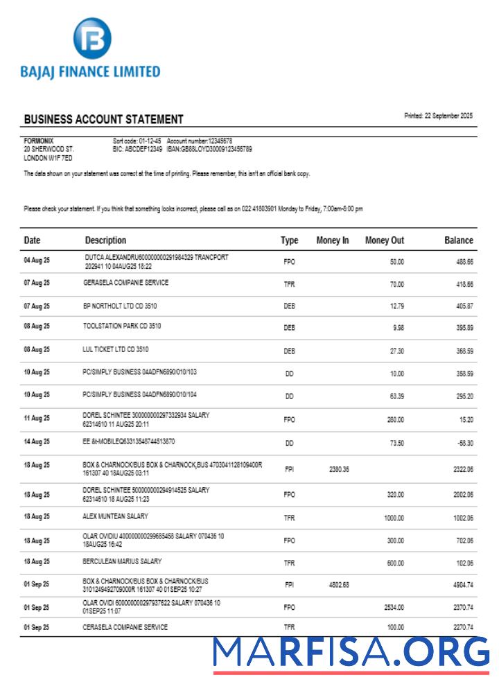 Bajaj Finanzen Limited Geschäft firm Konto Bank Kontoauszug Word and PDF Format Probe