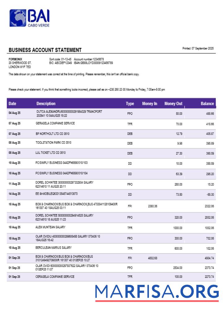 Banco Africano de Investimentos Geschäft Bank Kontoauszug Word and PDF Format Vorlage