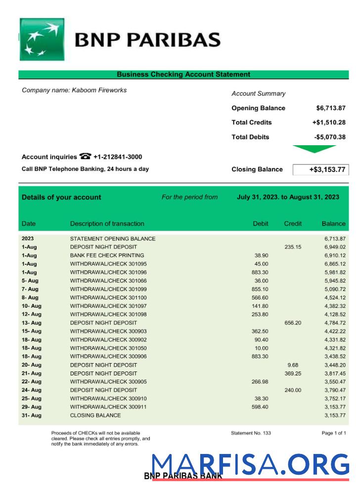 Premium Bank BNP Paribas Unternehmen Kontoauszug Word and PDF Vorlage