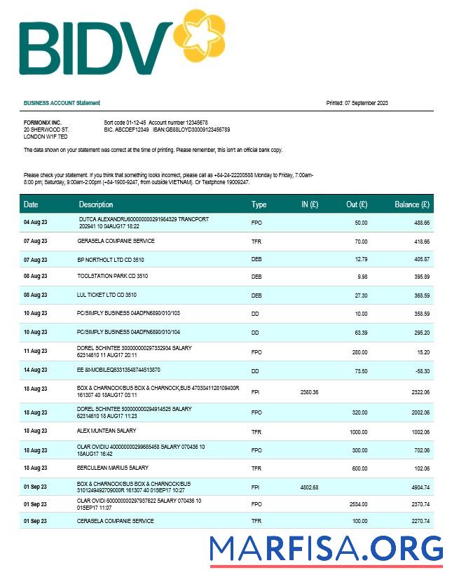 Professionell Bank for Investition and Development of Vietnam (BIDV) Geschäft Kontoauszug Word and PDF Vorlage