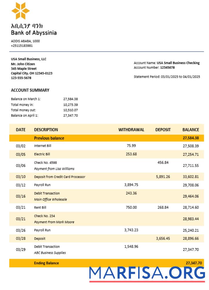 Bank of Abyssinia Geschäft Bank Kontoauszug Word and PDF Format Probe
