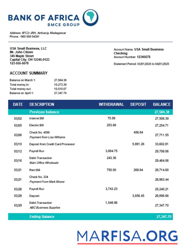 Professionell Bank of Africa organization checking Konto Kontoauszug Word and PDF Vorlage (1)