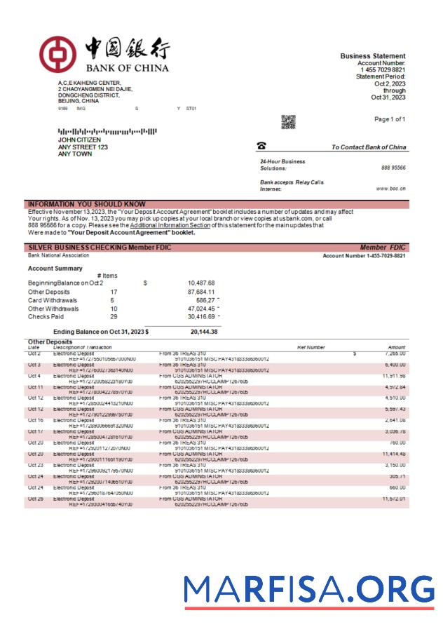 Premium Bank of China enterprise Kontoauszug Word and PDF Vorlage
