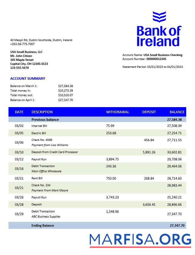 Realistisch Bank of Irland enterprise Kontoauszug Word and PDF Vorlage