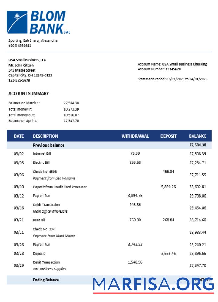 Professionell Blom Bank of Ägypten enterprise Konto Kontoauszug Word and PDF Vorlage