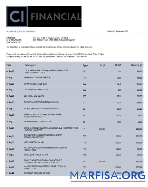 Professionell CI Financial Bank organization Konto Kontoauszug Word and PDF Vorlage