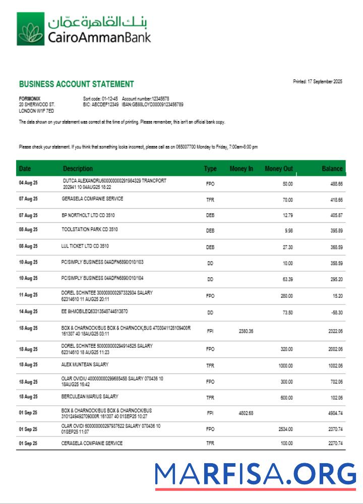 Hohe Qualität Cairo Amman Bank organization checking Konto Kontoauszug Word and PDF Vorlage