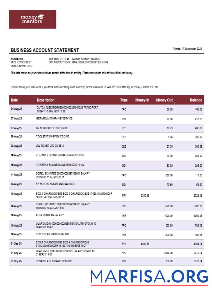 Canadian Money Mentors (MM) Geschäft organization checking Kontoauszug Word and PDF Format Probe
