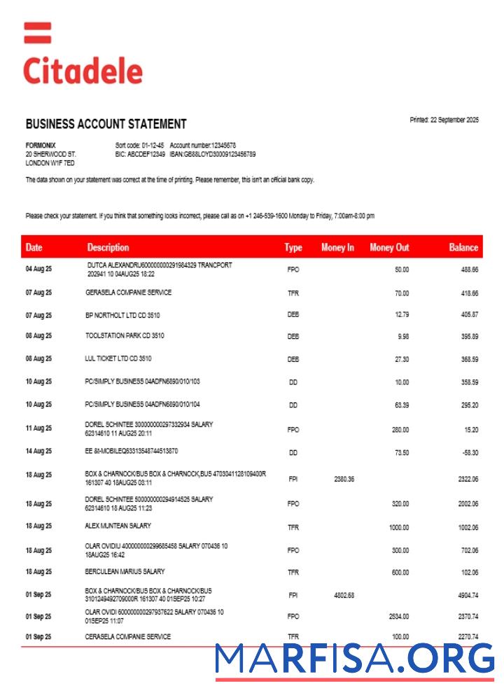 Hohe Qualität Citadele enterprise Konto Kontoauszug Word and PDF Vorlage (1)