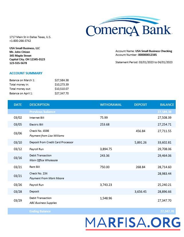 Bearbeitbar Comerica Bank Geschäft Kontoauszug Word and PDF Vorlage