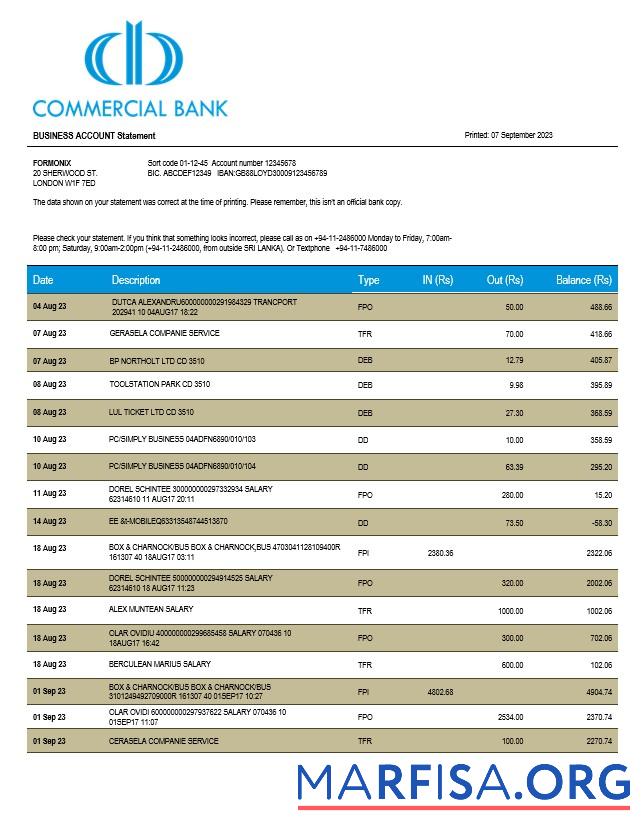 Hohe Qualität Kommerziell Bank firm Kontoauszug Word and PDF Vorlage