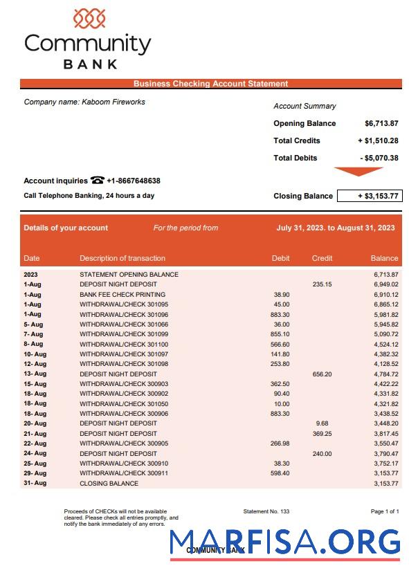 Professionell Community Bank Geschäft Kontoauszug Word and PDF Vorlage