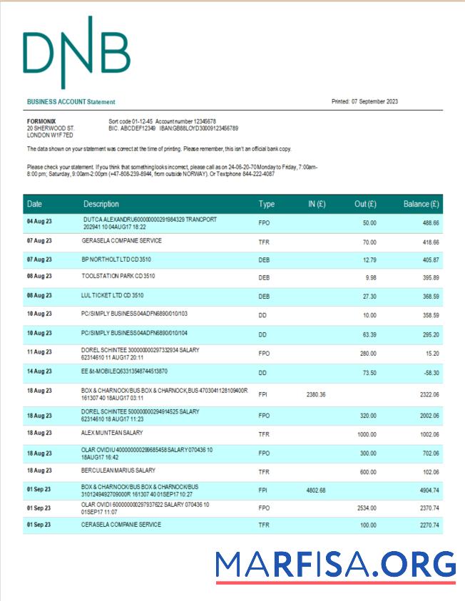 Premium DNB Bank firm Konto Kontoauszug Word and PDF Vorlage