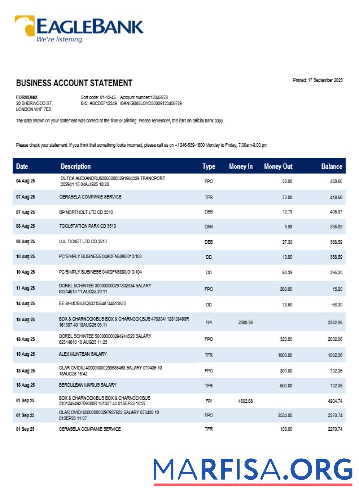 Realistisch Eagle Unternehmen checking Konto Kontoauszug Word and PDF Vorlage (1)