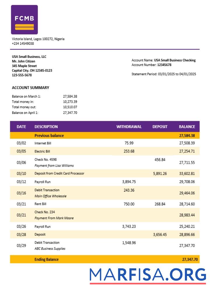Premium FCMB organization checking Konto Kontoauszug Word and PDF Vorlage (1)