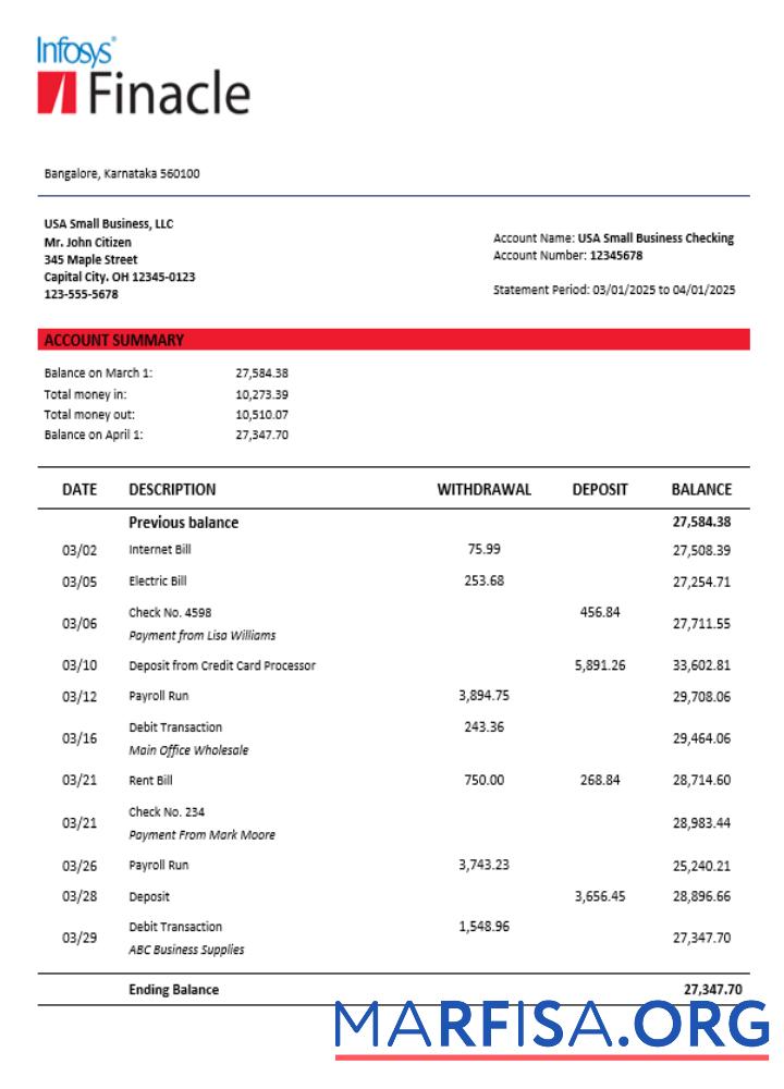Finacle Geschäft firm Kontoauszug Word and PDF Format Vorschau