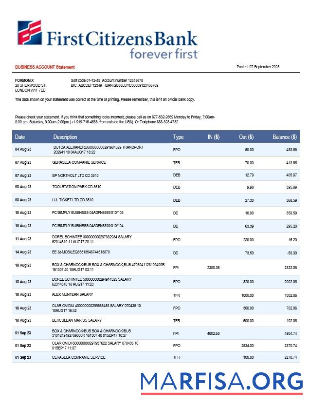 Hohe Qualität First Citizens Bank Geschäft Kontoauszug Word and PDF Vorlage