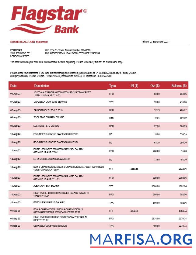 Professionell Flagstar Bank organization Konto Kontoauszug Word and PDF Vorlage