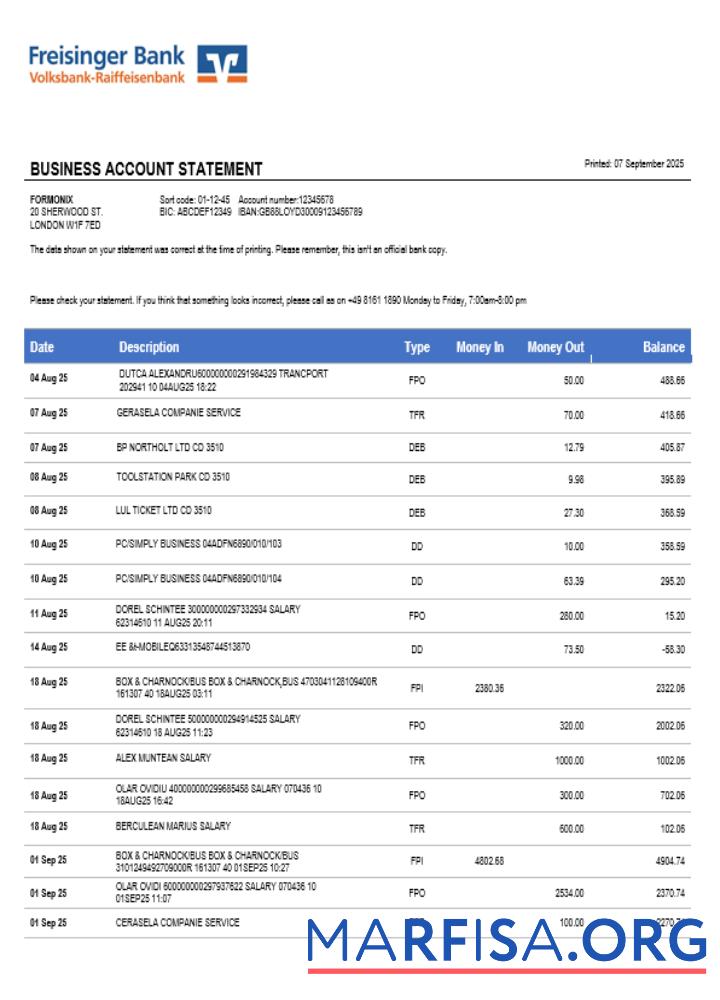 Freisinger Bank Konto Geschäft Kontoauszug Word and PDF Format Vorlage