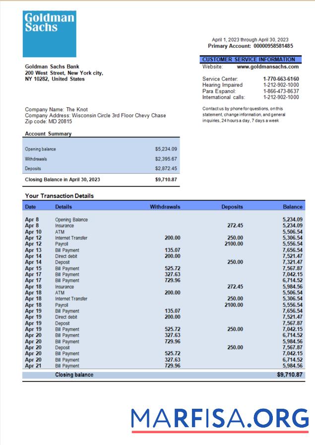 Premium Goldman Sachs Bank organization Konto Kontoauszug Word and PDF Vorlage