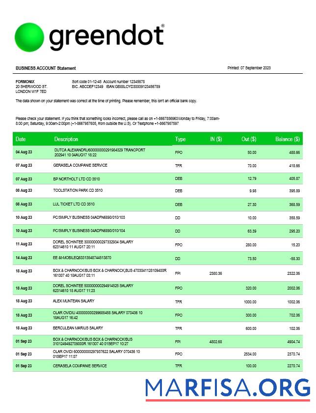 Professionell Grün Dot Bank Geschäft checking Konto Kontoauszug Word and PDF Vorlage