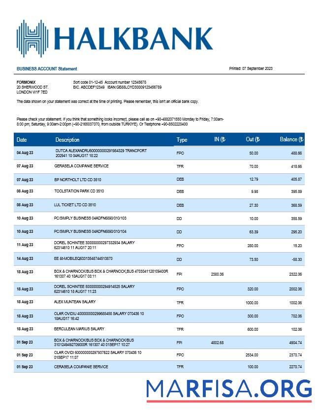 Hohe Qualität Halkbank Geschäft Kontoauszug Word and PDF Vorlage
