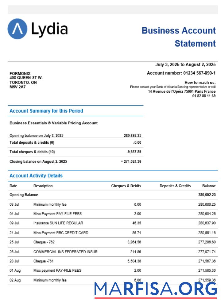 Lydia Noir Bank Geschäft firm Konto Kontoauszug Word snd PDF Format Design
