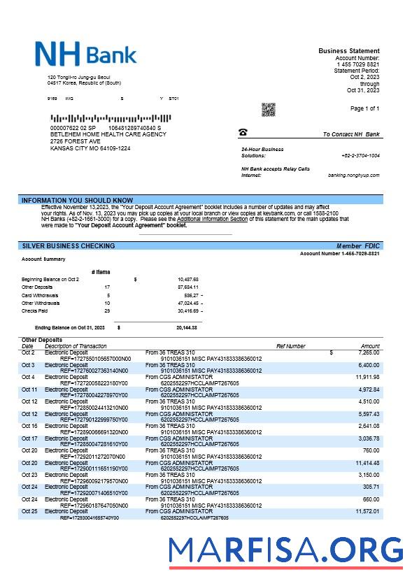 Bearbeitbar NH Bank firm Konto Kontoauszug Word and PDF Vorlage