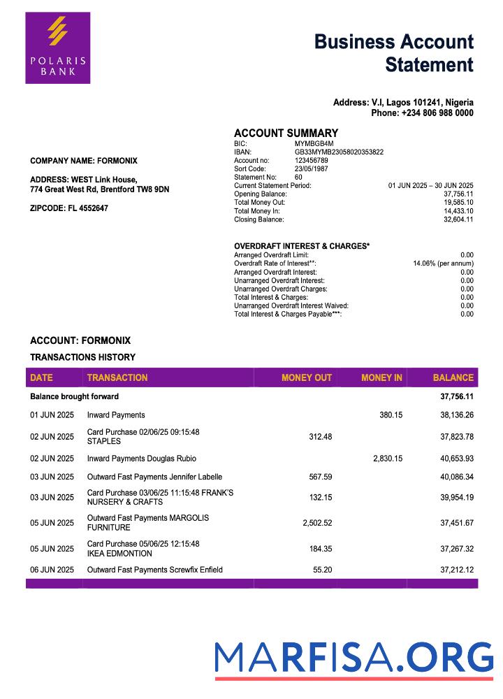 Premium Nigeria Polaris enterprise Konto Kontoauszug Word and PDF Vorlage