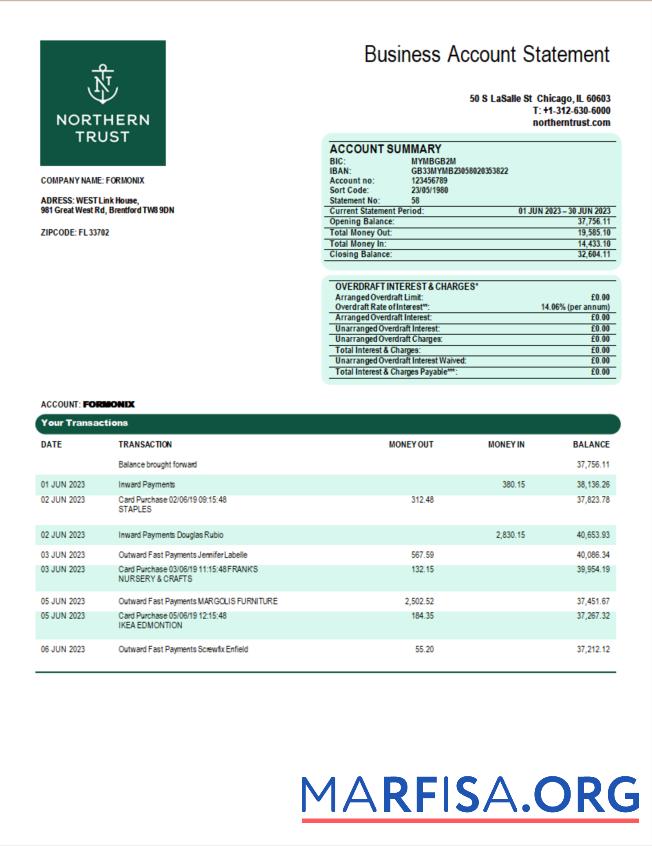 Professionell Northern Trust Bank firm Kontoauszug Word and PDF Vorlage