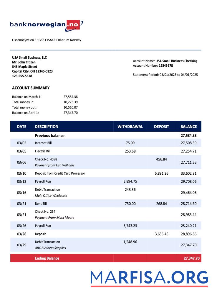 Premium Norwegian Bank Norwegian AS organization Kontoauszug Word and PDF Vorlage