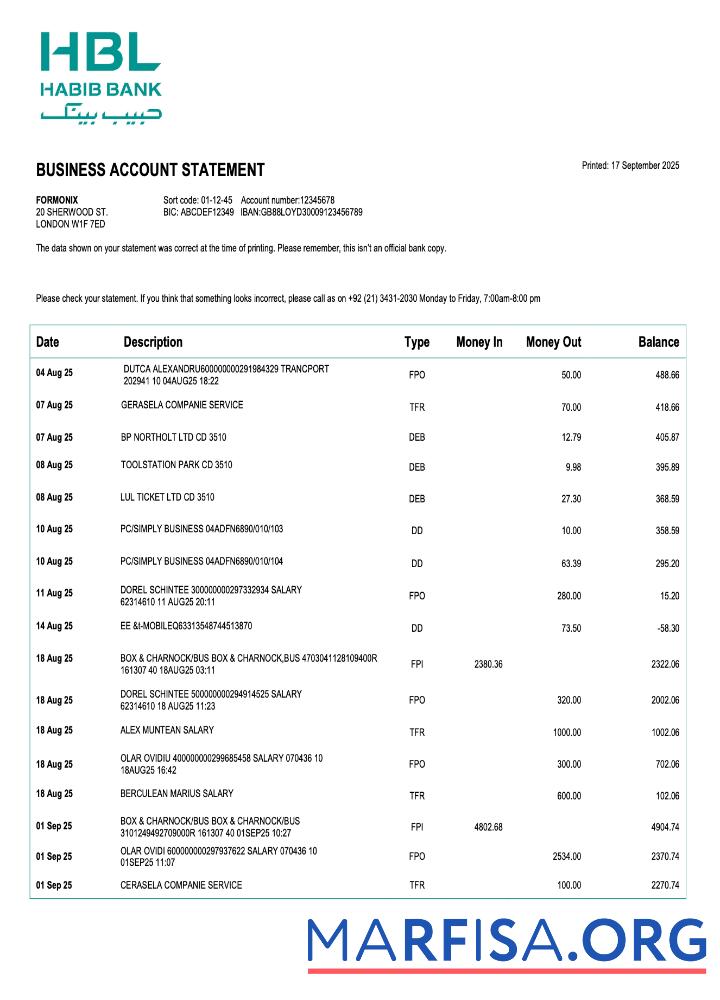 Realistisch Pakistan Habib Geschäft checking Konto Kontoauszug Word and PDF Vorlage