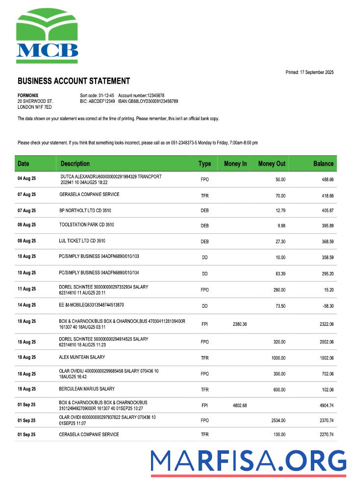Premium Pakistan MCB Geschäft checking Konto Kontoauszug Word and PDF Vorlage