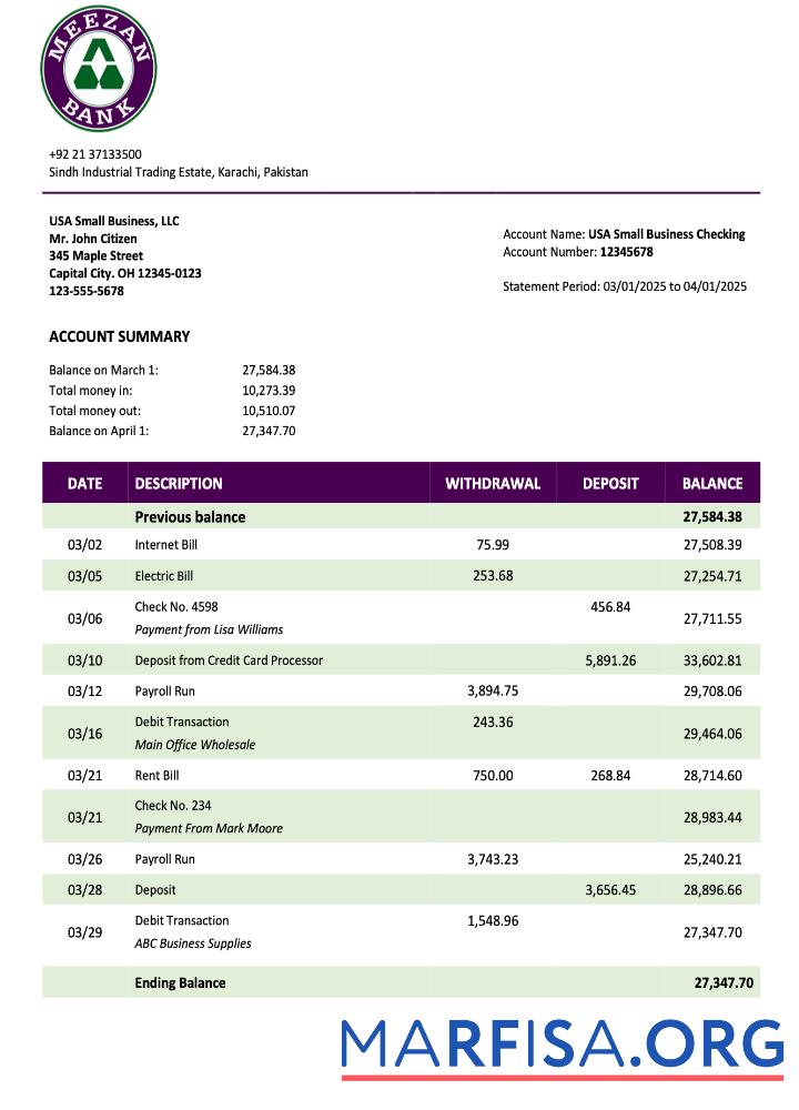 Professionell Pakistan Meezan Bank organization Kontoauszug Word and PDF Vorlage
