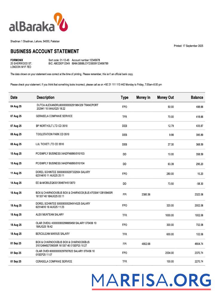 Realistisch Pakistani Al Baraka Unternehmen Kontoauszug Word and PDF Vorlage