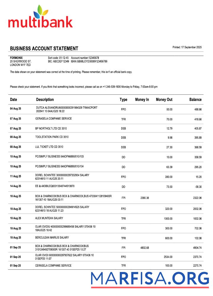 Professionell Panama Multibank organization checking Konto Kontoauszug Word and PDF Vorlage