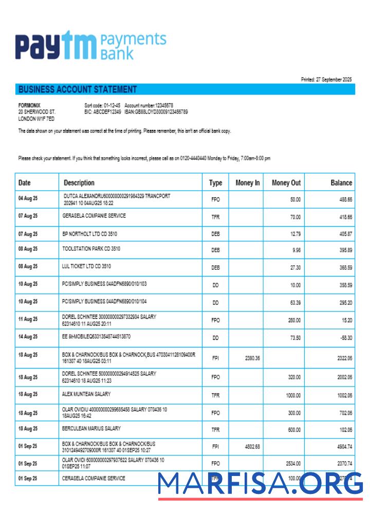 PayTM Payments Geschäft Unternehmen Konto Kontoauszug Word and PDF Format Vorlage