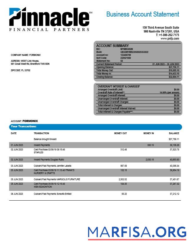 Premium Pinnacle Financial Bank firm Konto Kontoauszug Word and PDF Vorlage