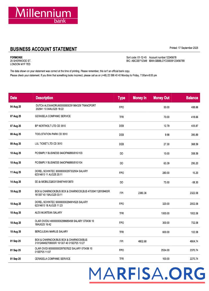 Polen Millennium Geschäft firm Kontoauszug Word and PDF Format Mockup