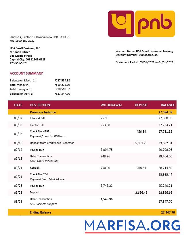Realistisch Punjab National Bank Geschäft Kontoauszug Word and PDF Vorlage