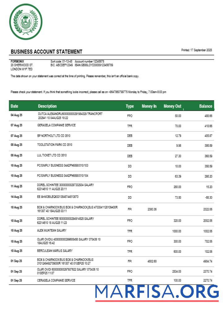Professionell Rafidain firm Konto Kontoauszug Word and PDF Vorlage