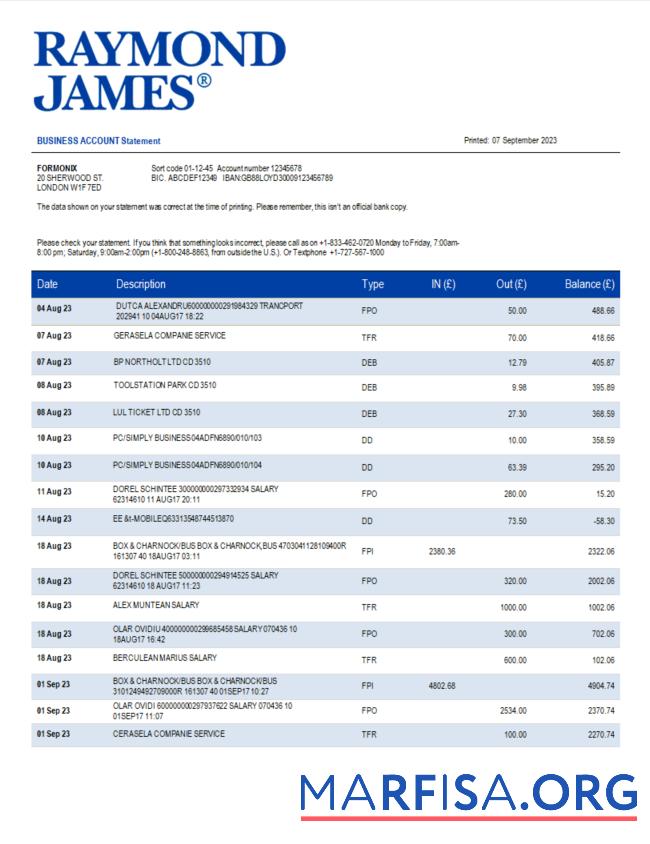 Professionell Raymond James Bank organization Kontoauszug Word and PDF Vorlage