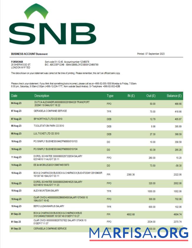 Professionell SNB Bank enterprise Kontoauszug Word and PDF Vorlage