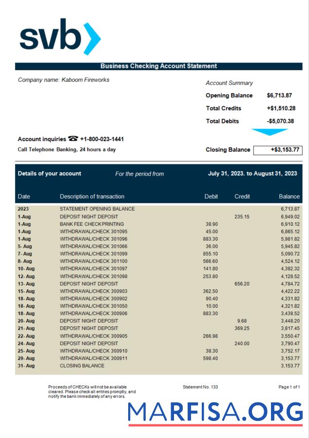 Professionell SVB Bank firm Kontoauszug Word and PDF Vorlage