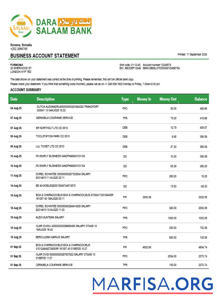 Professionell Somali Dara Salaam Bank firm Konto Kontoauszug Word and PDF Vorlage