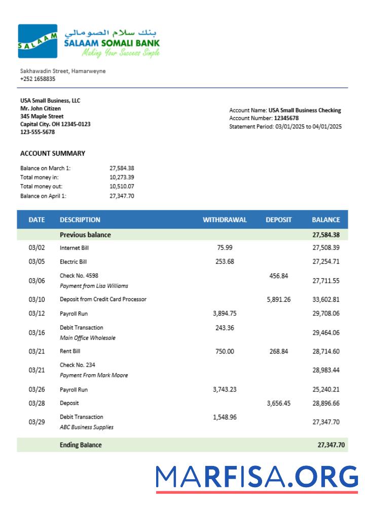 Hohe Qualität Somali Salaam Somali Bank Geschäft checking Konto Kontoauszug Word and PDF Vorlage