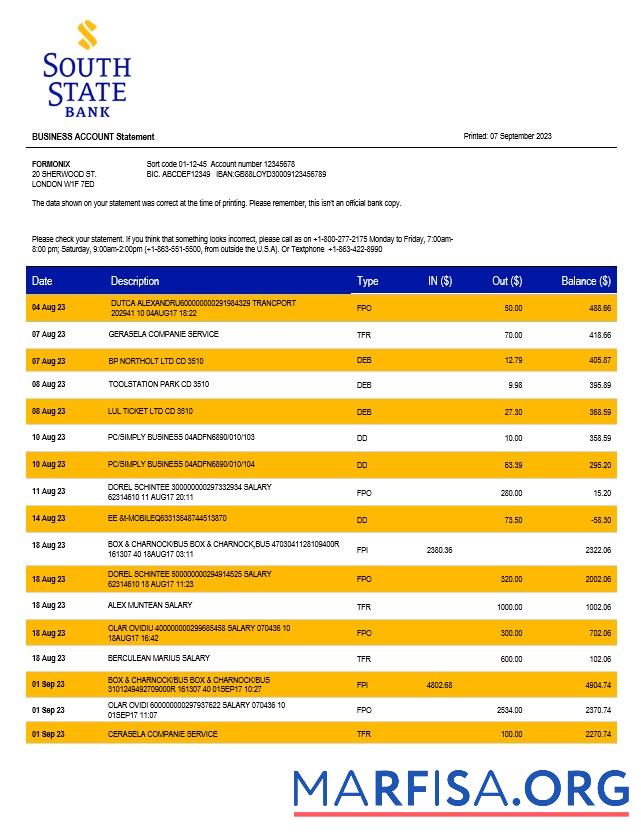 Professionell South State Bank Unternehmen Kontoauszug Word and PDF Vorlage