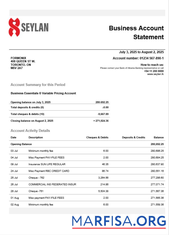 Realistisch Sri Lanka Seylan Bank organization checking Konto Kontoauszug Word and PDF Vorlage