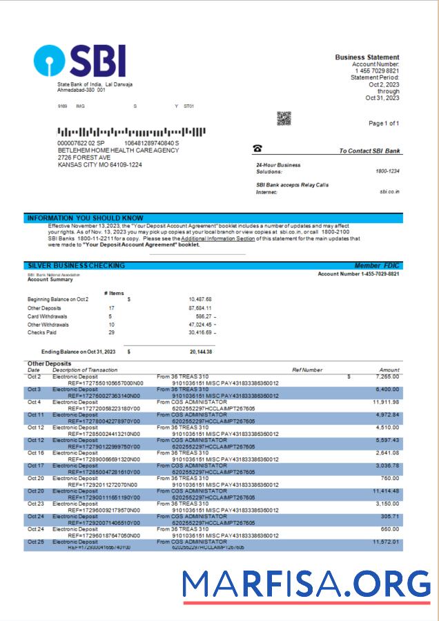 Professionell State Bank of Indien Unternehmen Konto Kontoauszug Word and PDF Vorlage
